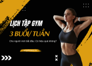 Lịch gym 3 buổi/tuần cho người mới bắt đầu: Có hiệu quả không?