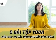 5 Bài Tập Yoga Giảm Đau Vai Gáy Dành Cho Dân Văn Phòng