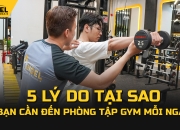 5 Lý Do Tại Sao Bạn Cần Đến Phòng Tập Gym Mỗi Ngày