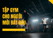 Tập gym cho người mới bắt đầu – Làm sao để không bỏ cuộc giữa chừng?