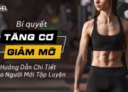 Bí Quyết Tăng Cơ Giảm Mỡ - Hướng Dẫn Chi Tiết Cho Người Mới Tập Luyện