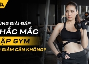 Cùng Giải Đáp Thắc Mắc Tập Gym Có Giảm Cân Không?