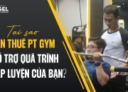 Tại Sao Nên Thuê Pt Gym Hỗ Trợ Quá Trình Tập Luyện Của Bạn?