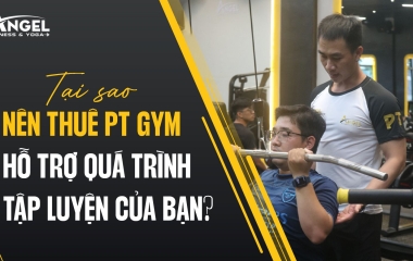 Tại Sao Nên Thuê Pt Gym Hỗ Trợ Quá Trình Tập Luyện Của Bạn?