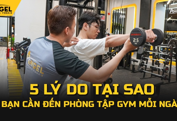 5 Lý Do Tại Sao Bạn Cần Đến Phòng Tập Gym Mỗi Ngày