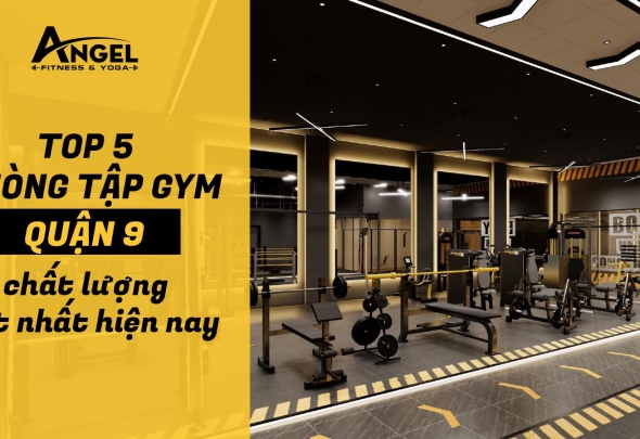 Top 5 Phòng Tập Gym Quận 9 Chất Lượng Tốt Nhất Hiện Nay