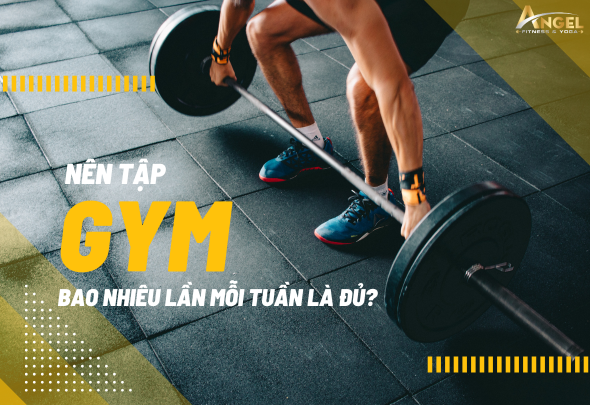 Nên Tập Gym Bao Nhiêu Lần Mỗi Tuần Là Đủ