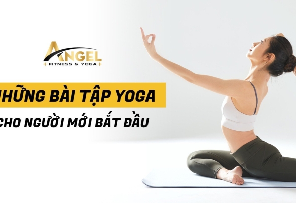 Những Bài Tập Yoga Cho Người Mới Bắt Đầu