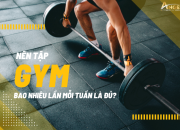 Nên Tập Gym Bao Nhiêu Lần Mỗi Tuần Là Đ