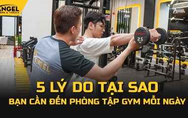 5 Lý Do Tại Sao Bạn Cần Đến Phòng Tập Gym Mỗi Ngày