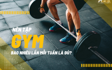 Nên Tập Gym Bao Nhiêu Lần Mỗi Tuần Là Đ
