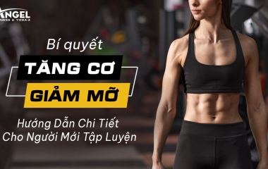 Bí Quyết Tăng Cơ Giảm Mỡ - Hướng Dẫn Chi Tiết Cho Người Mới Tập Luyện