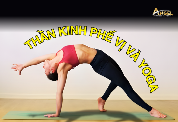 Thần kinh phế vị và Yoga: Bí mật của sự bình tĩnh và khả năng tự chữa lành