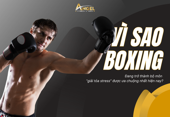 Vì sao Boxing đang trở thành bộ môn “giải tỏa stress” được ưa chuộng nhất hiện nay?